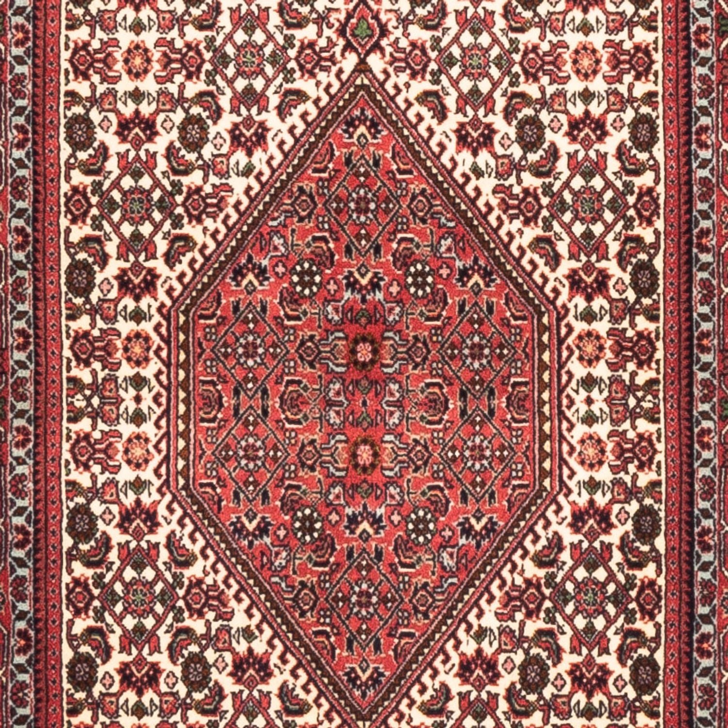 Tapis de couloir Tapis persan - Bidjar - 225 x 80 cm - crème