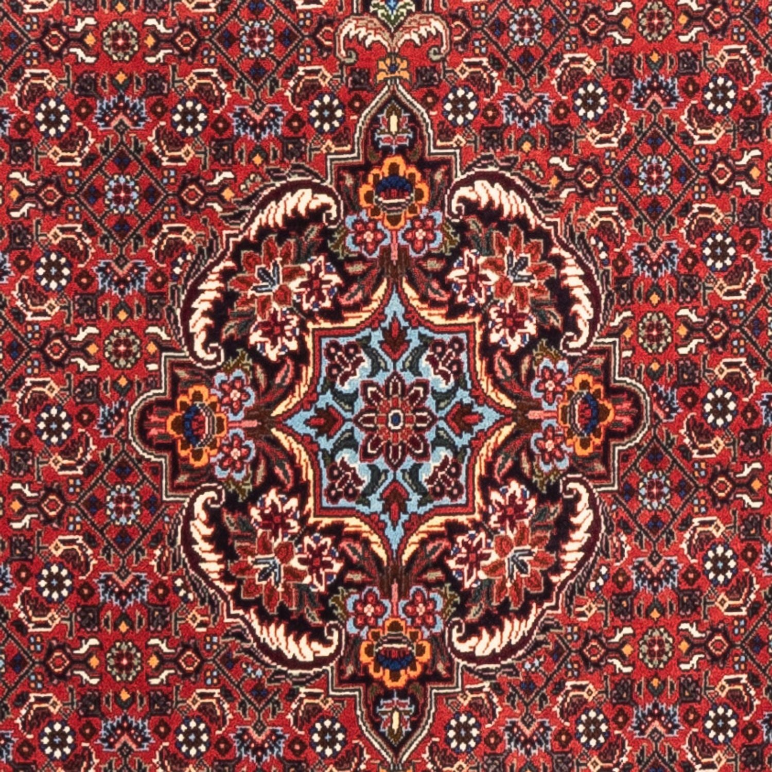 Tapis de couloir Tapis persan - Bidjar - 226 x 75 cm - rouge