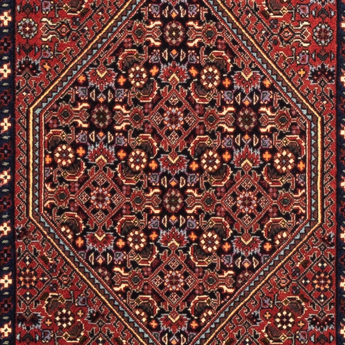 Tapis de couloir Tapis persan - Bidjar - 214 x 62 cm - rouge