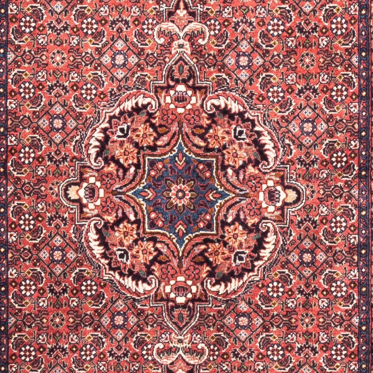 Tapis de couloir Tapis persan - Bidjar - 238 x 73 cm - rouge