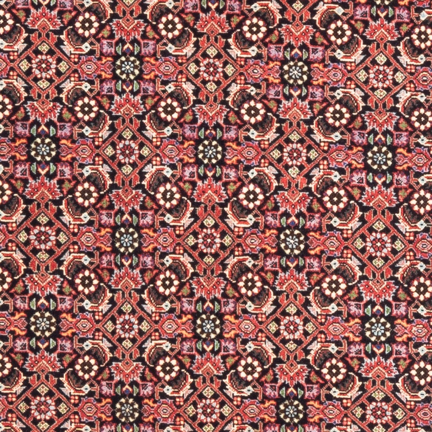 Tapis de couloir Tapis persan - Bidjar - 189 x 82 cm - rouge clair