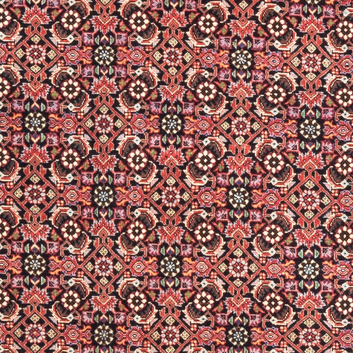 Tapis de couloir Tapis persan - Bidjar - 189 x 82 cm - rouge clair