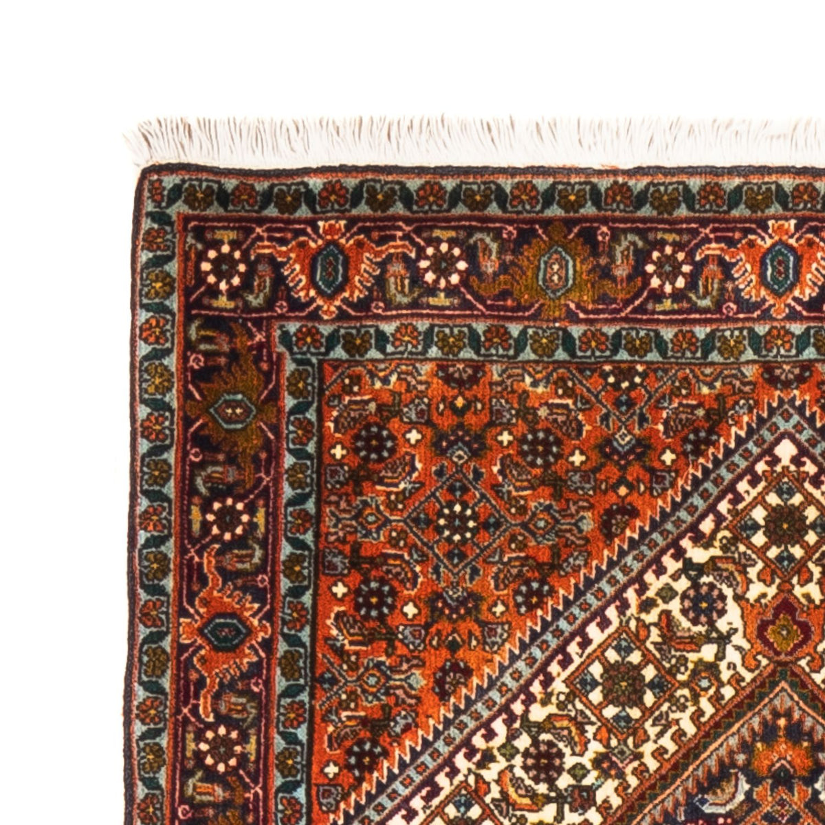 Tapis de Bidjar Tapis 75x218cm - Tapis persan
