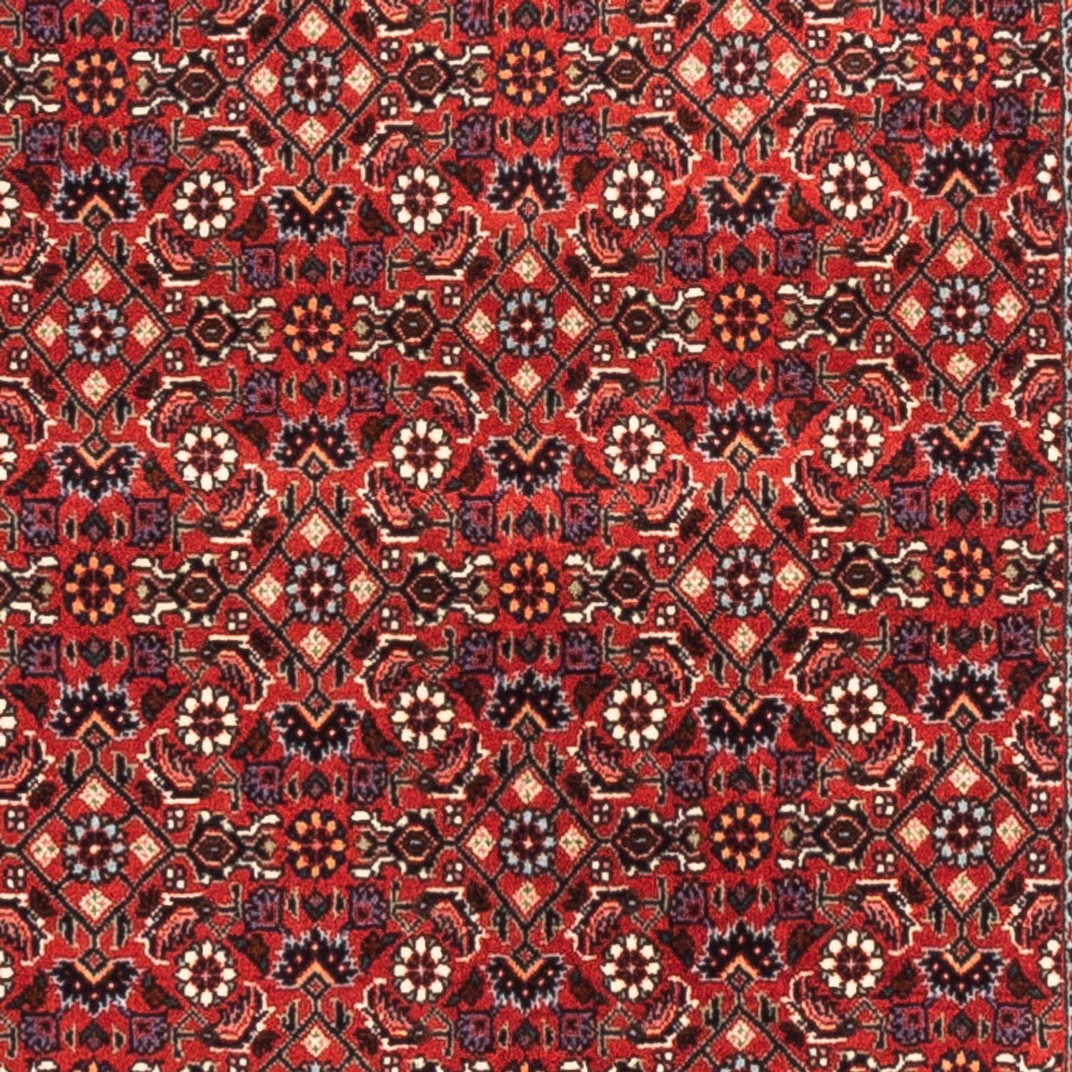 Tapis de couloir Tapis persan - Bidjar - 192 x 75 cm - rouge