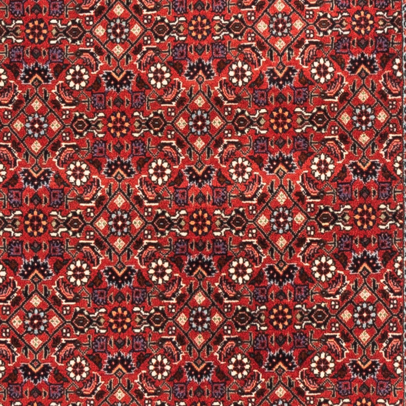 Tapis de couloir Tapis persan - Bidjar - 192 x 75 cm - rouge