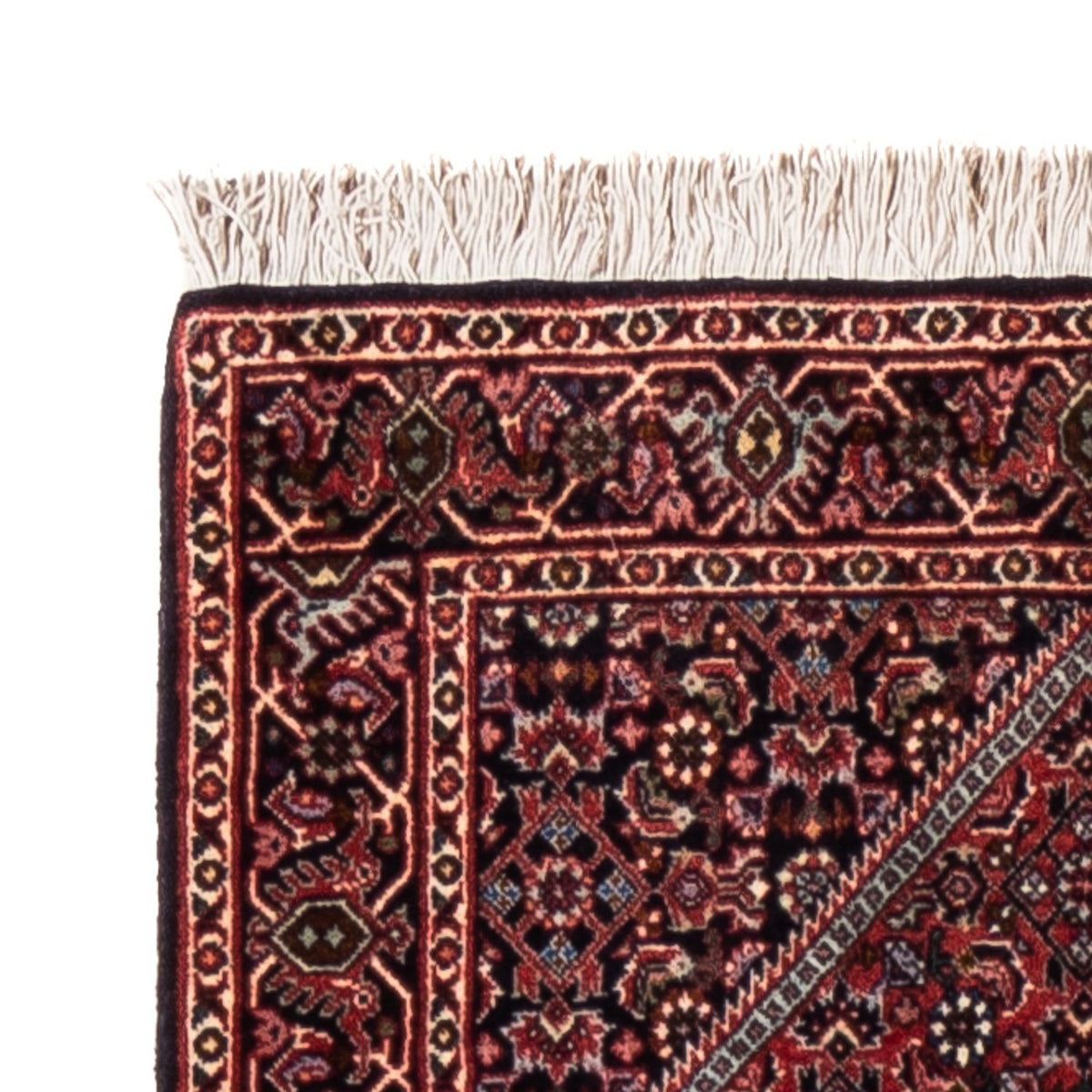 Tapis de couloir Tapis persan - Bidjar - 240 x 65 cm - crème