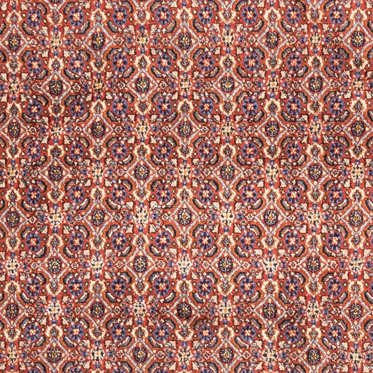 Tapis persan - Classique - 247 x 202 cm - rouge clair