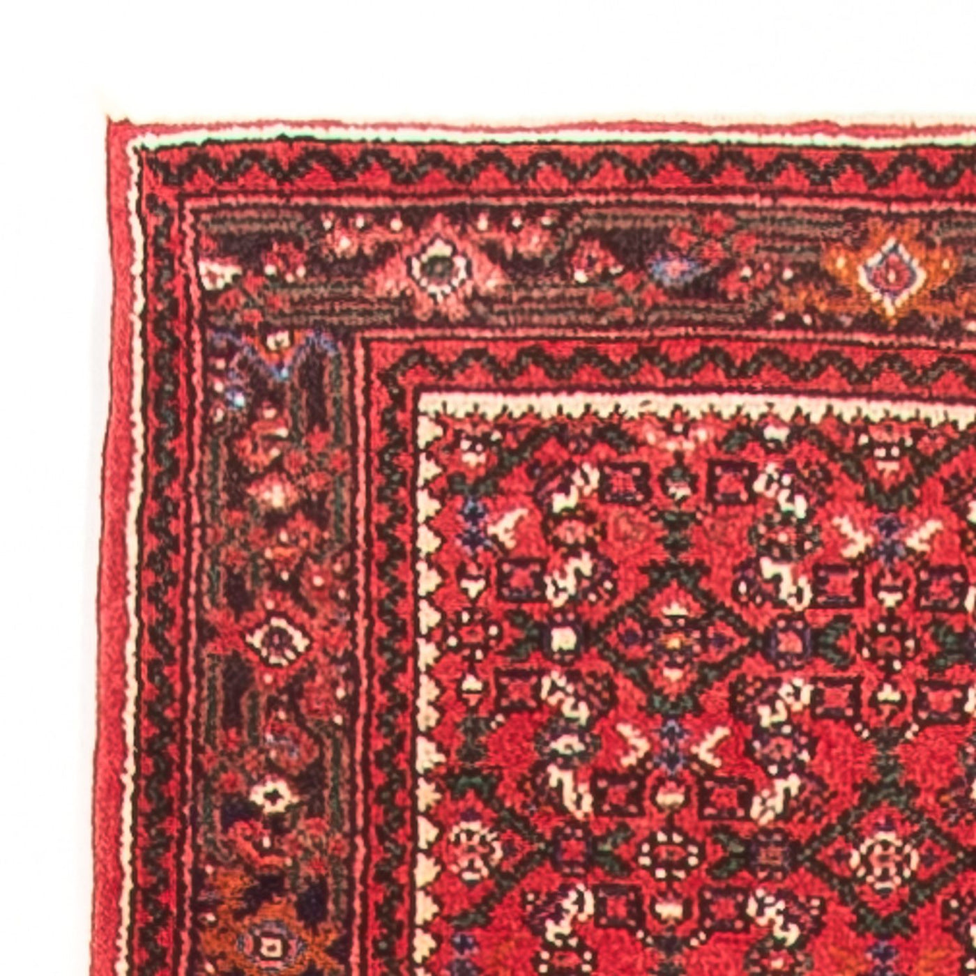 Tapis de Hamadan Tapis 600x80cm - Tapis persan