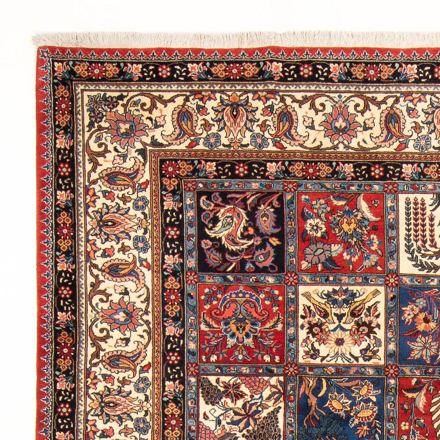 Tapis Bakhtiari Tapis 306x210cm - Tapis persan