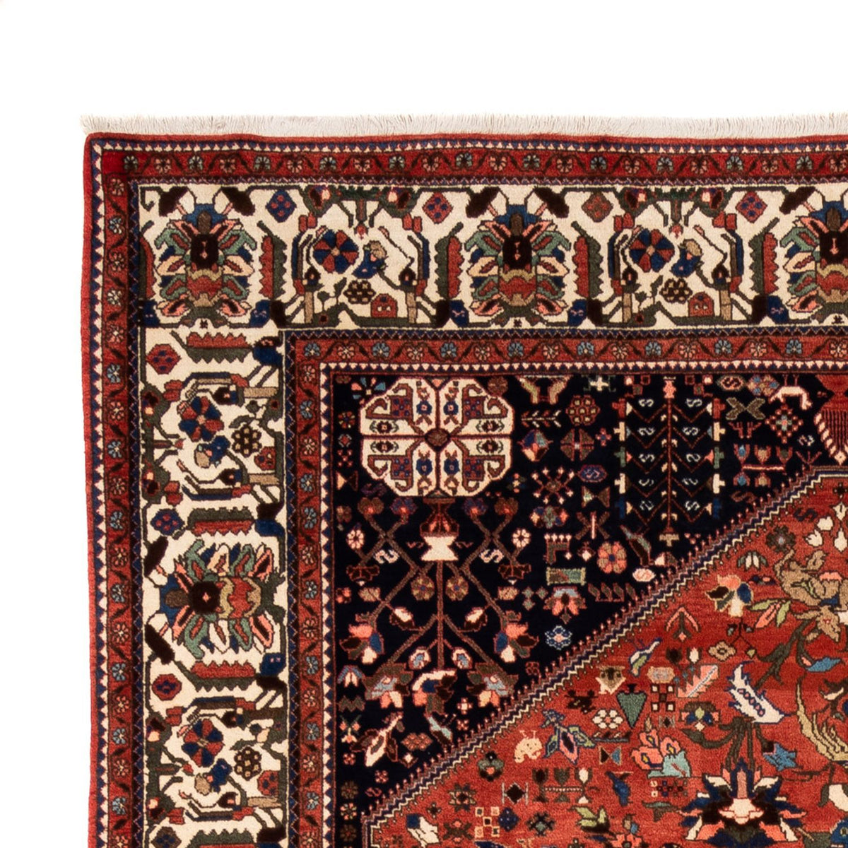 Tapis Bakhtiari Tapis 204x302cm - Tapis persan