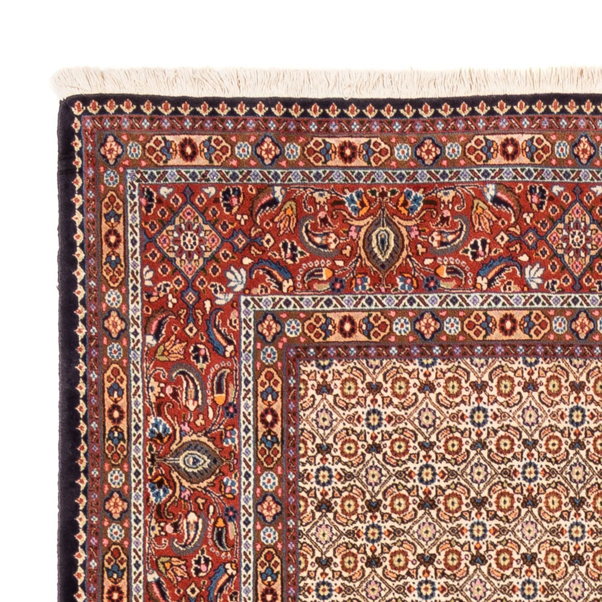 Tapis persan - Classique - 250 x 195 cm - beige foncé