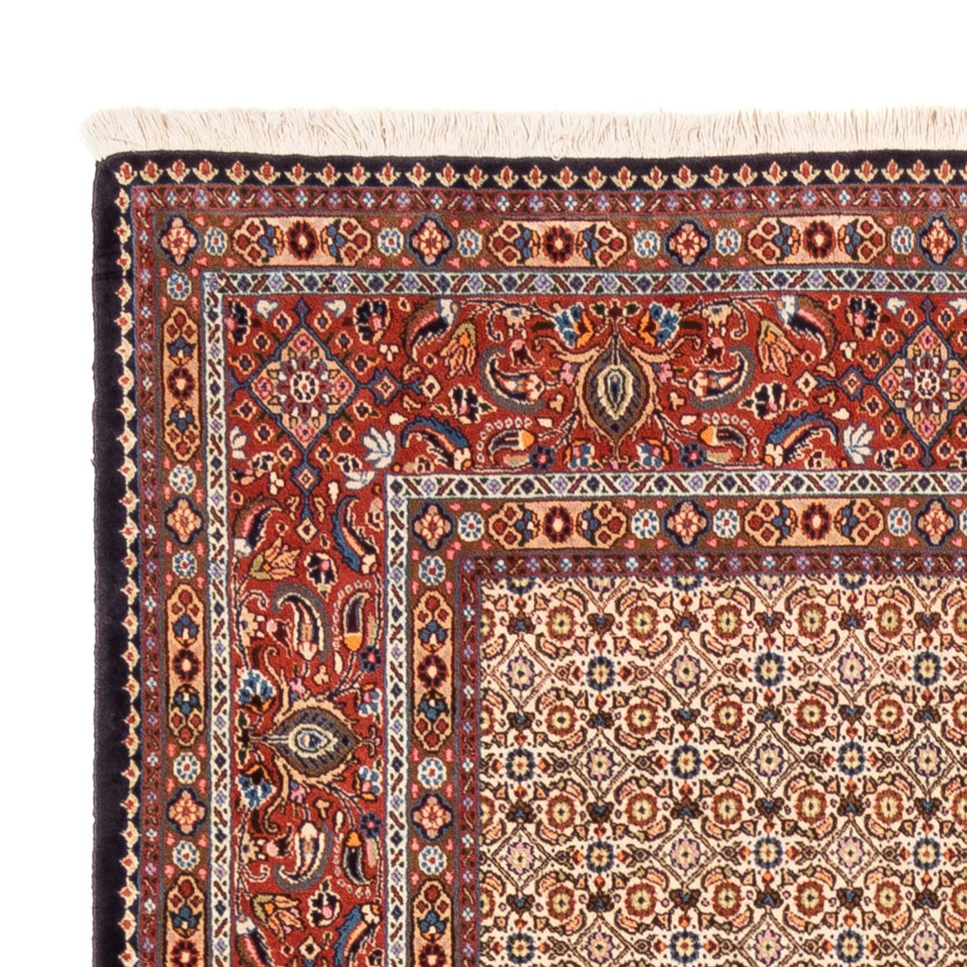 Tapis de Moud Tapis 250x195cm - Tapis persan