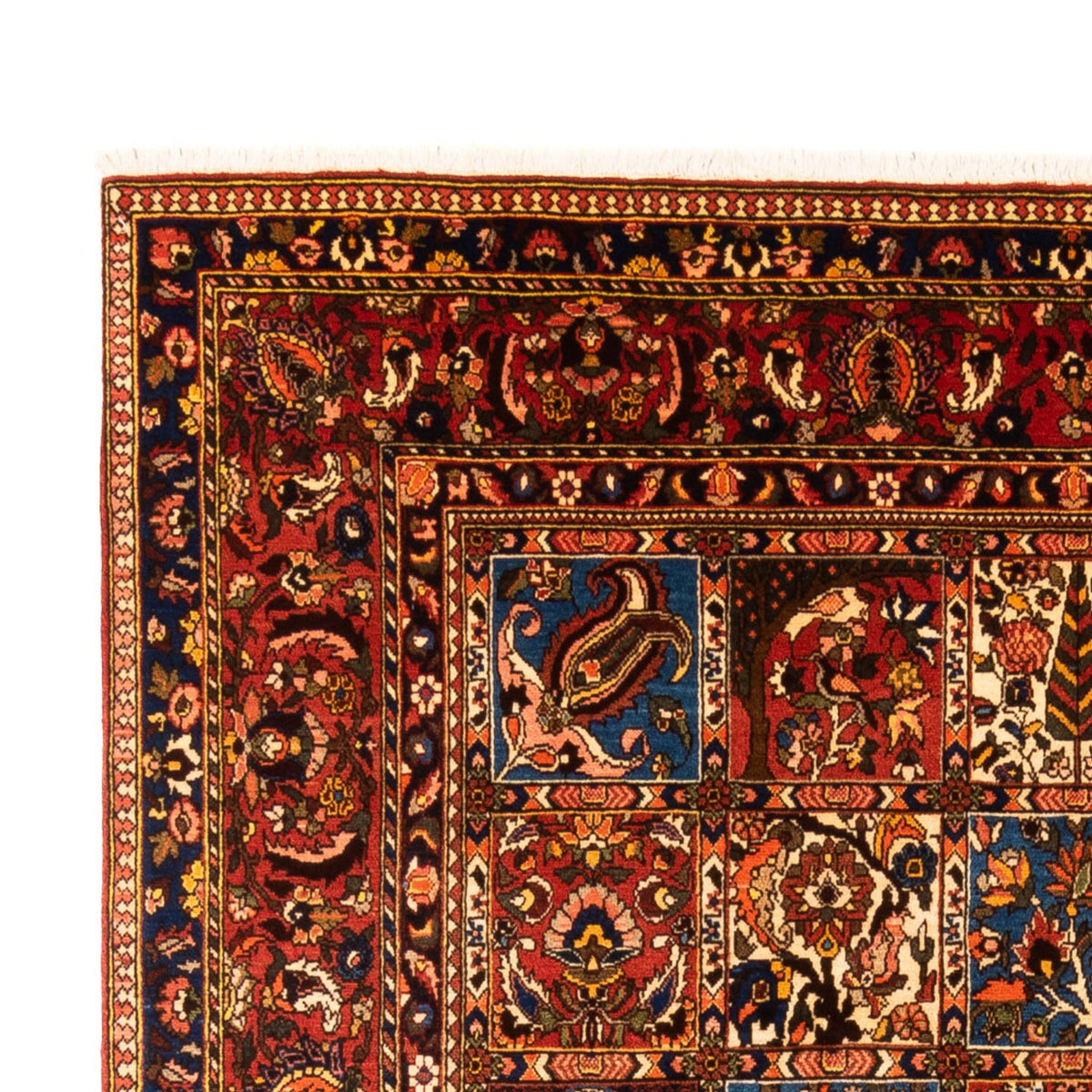 Tapis Bakhtiari Tapis 303x202cm - Tapis persan