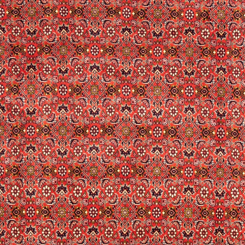 Tapis persan - Bidjar - 242 x 168 cm - rouge