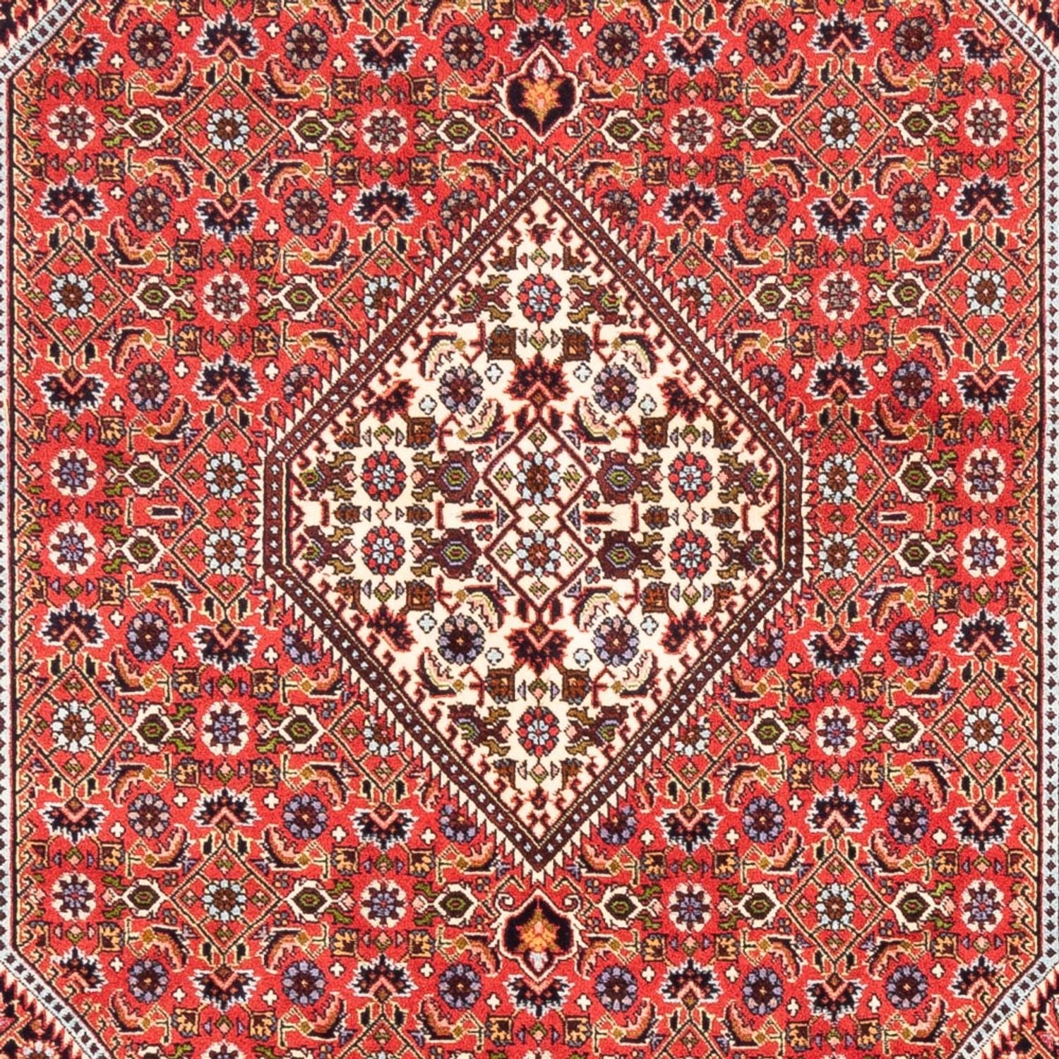 Tapis persan - Bidjar - 247 x 168 cm - rouge