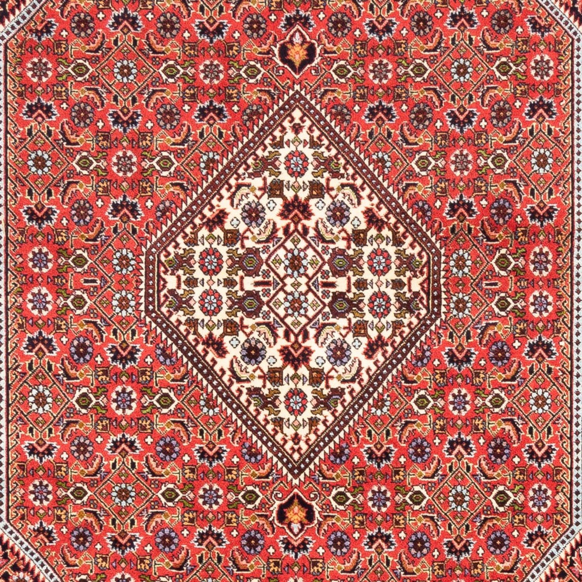 Tapis persan - Bidjar - 247 x 168 cm - rouge