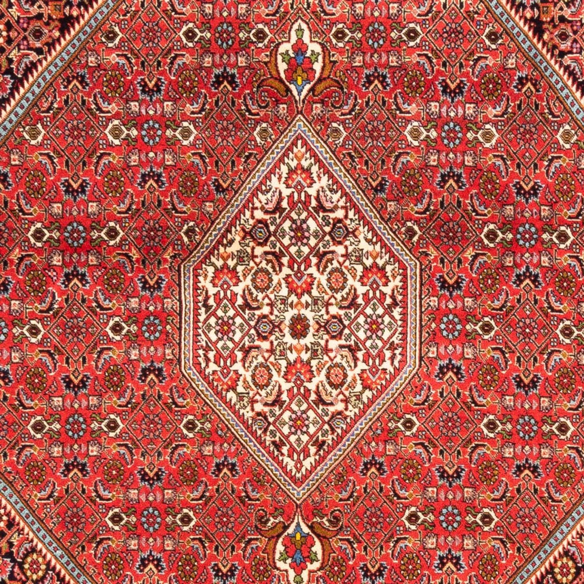 Tapis persan - Bidjar - 234 x 176 cm - rouge