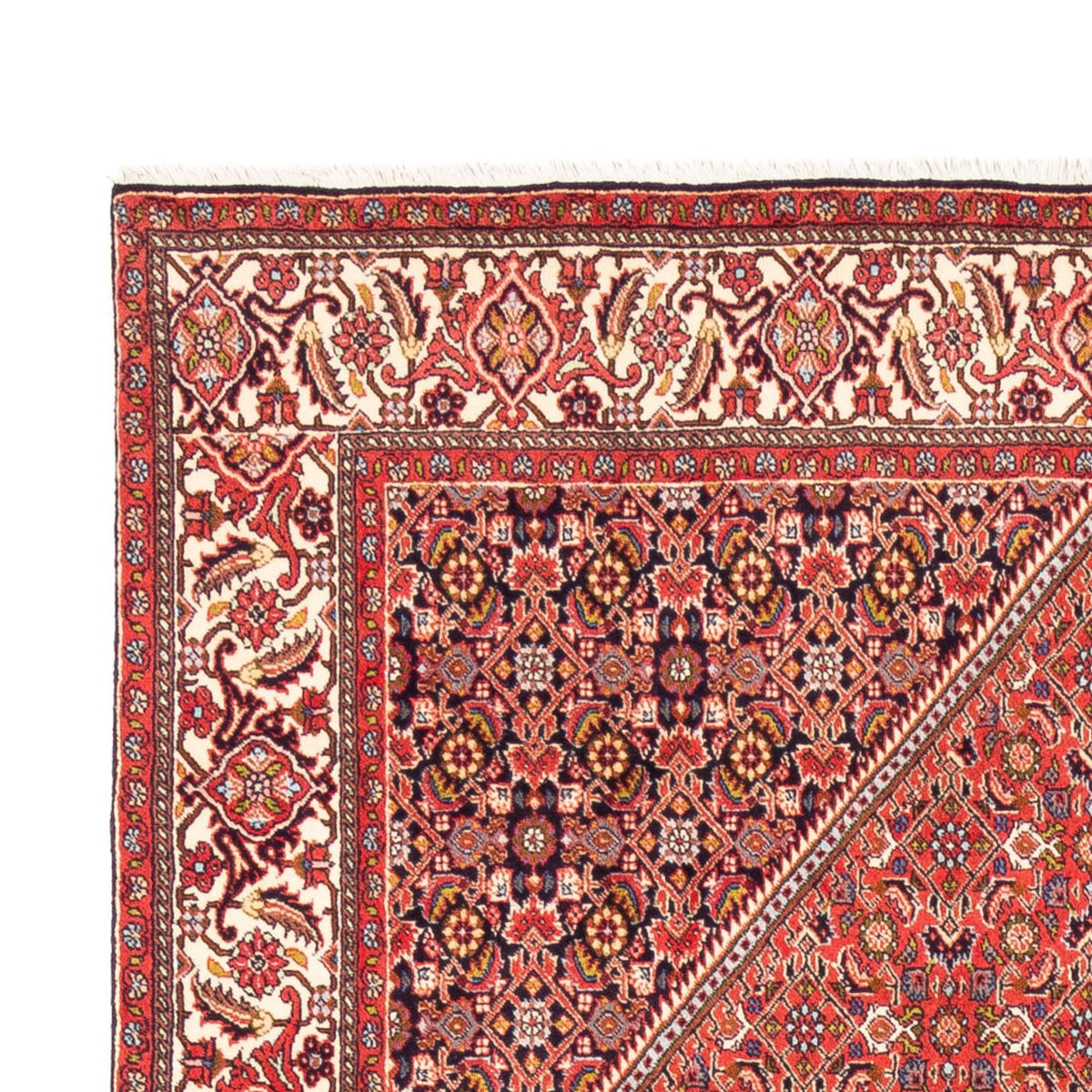 Tapis persan - Bidjar - 244 x 168 cm - rouge