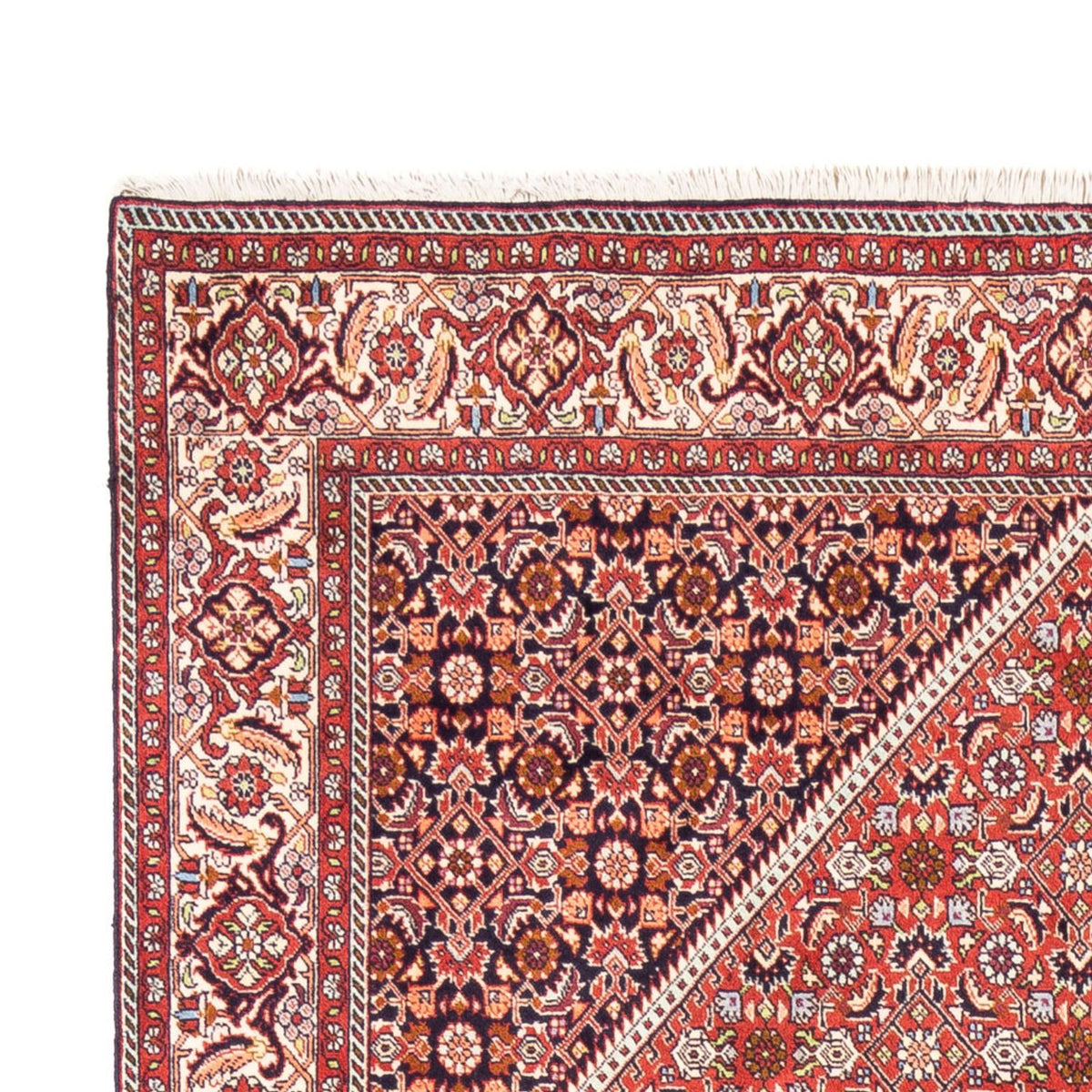 Tapis persan - Bidjar - 240 x 168 cm - rouge