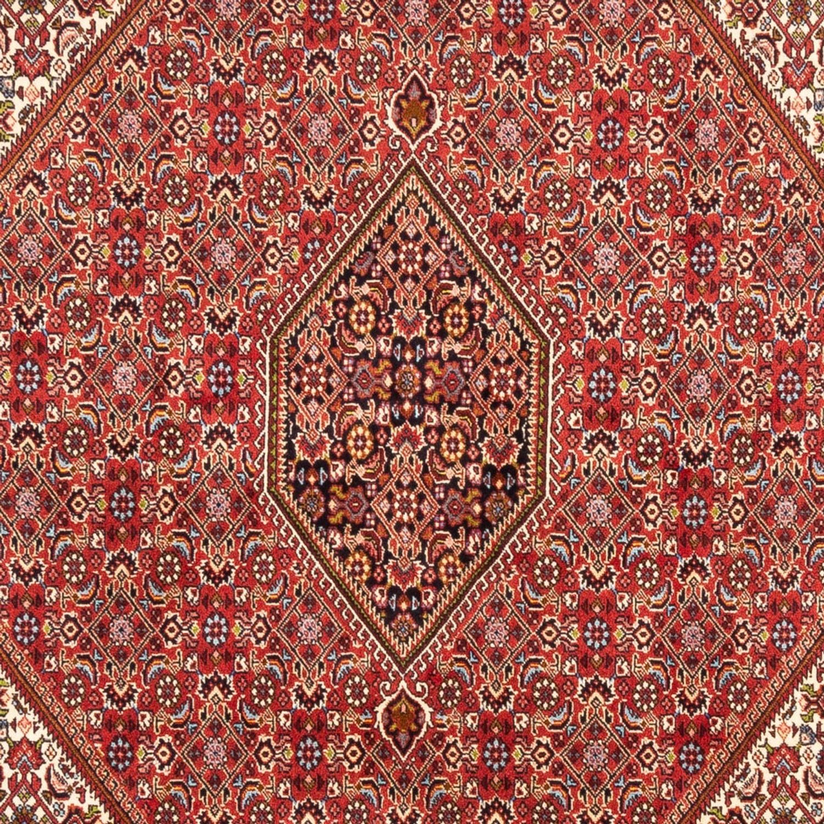 Tapis persan - Bidjar - 247 x 172 cm - rouge