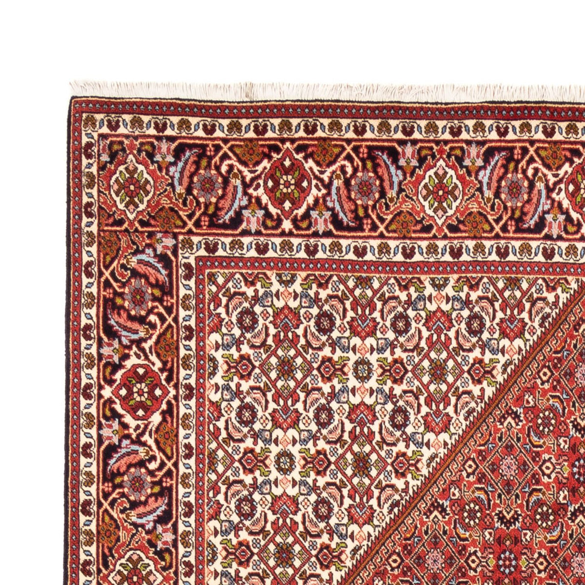 Tapis persan - Bidjar - 247 x 172 cm - rouge