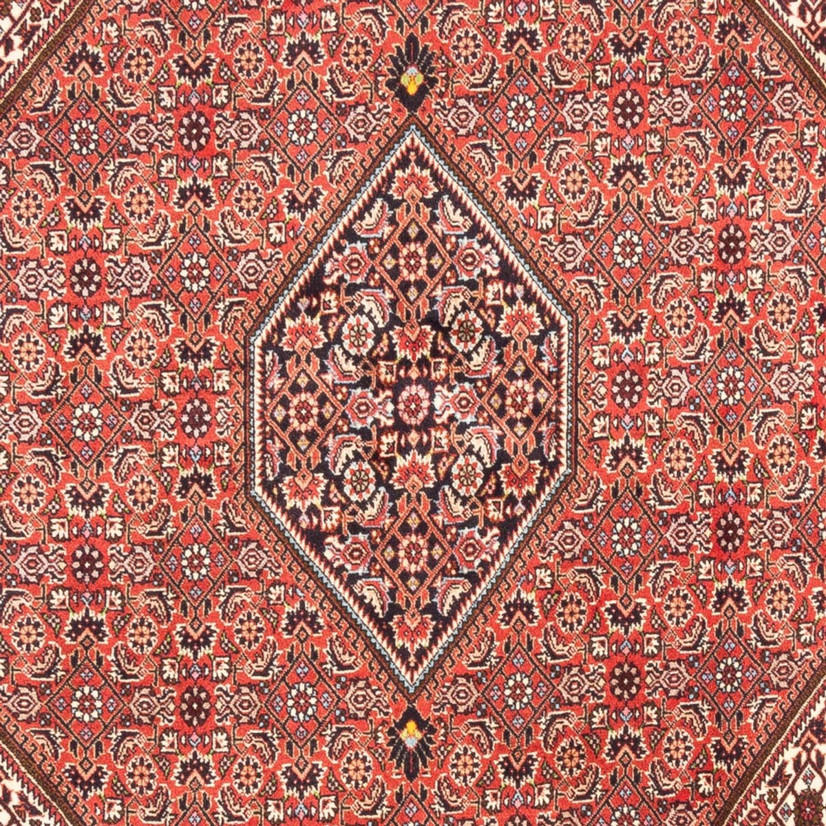 Tapis persan - Bidjar - 247 x 173 cm - rouge