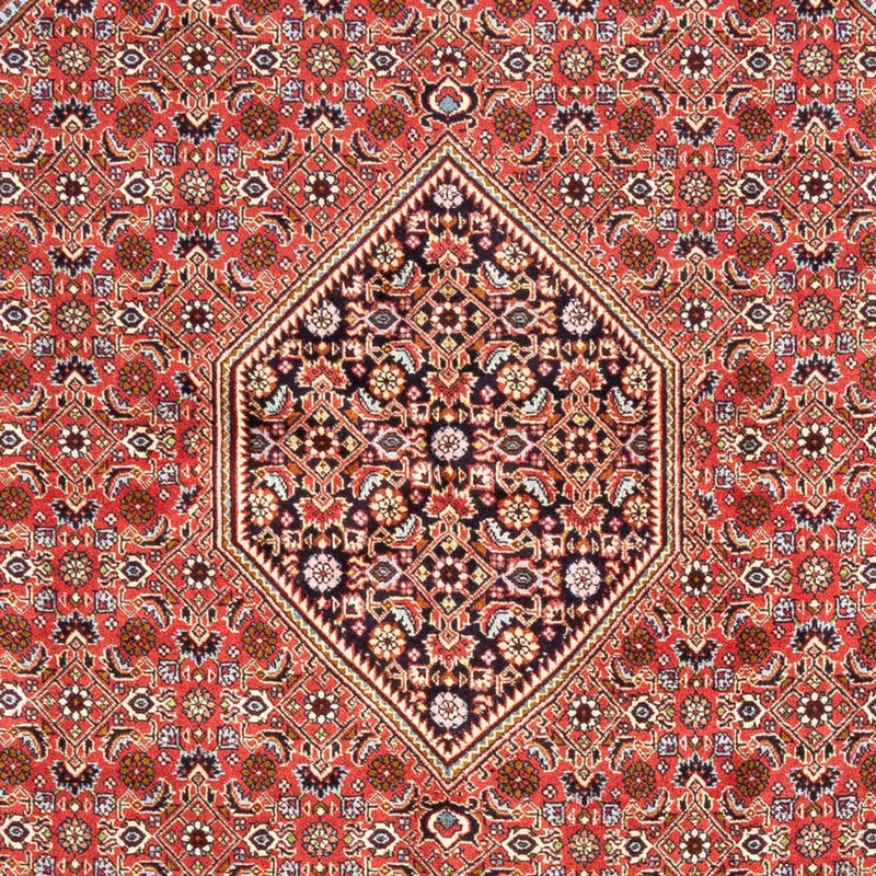 Tapis persan - Bidjar - 248 x 171 cm - rouge