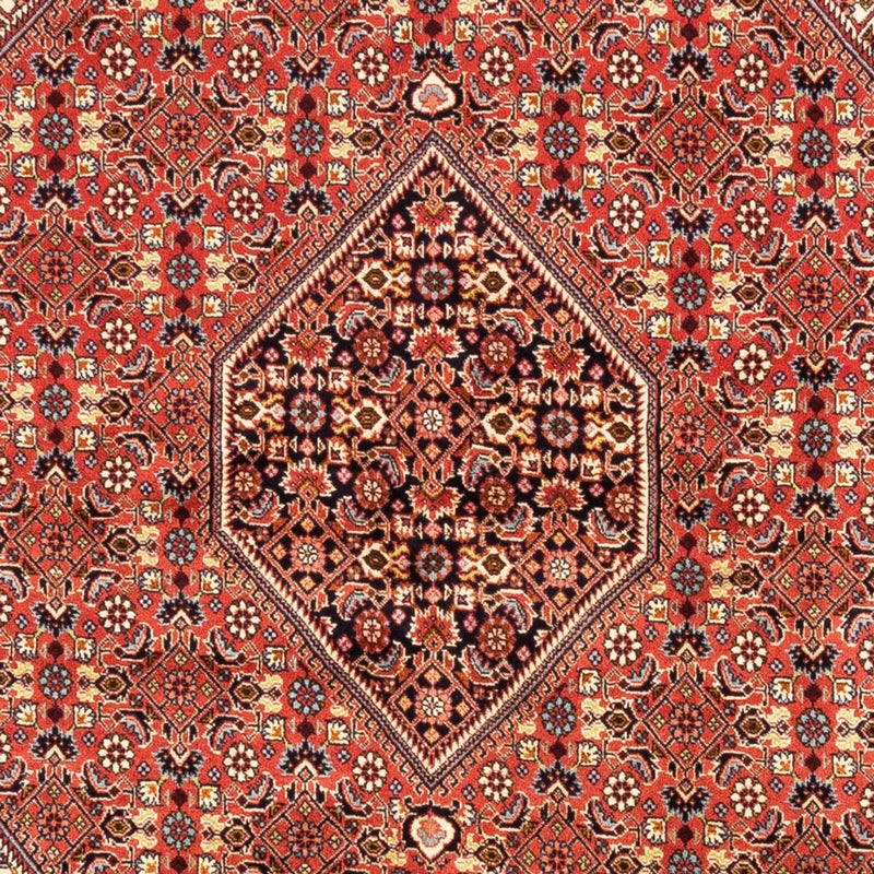 Tapis persan - Bidjar - 246 x 171 cm - rouge