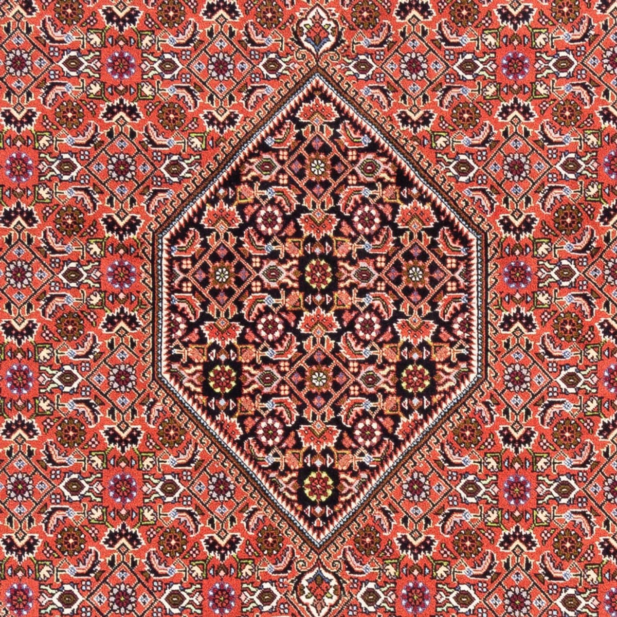 Tapis persan - Bidjar - 250 x 170 cm - rouge