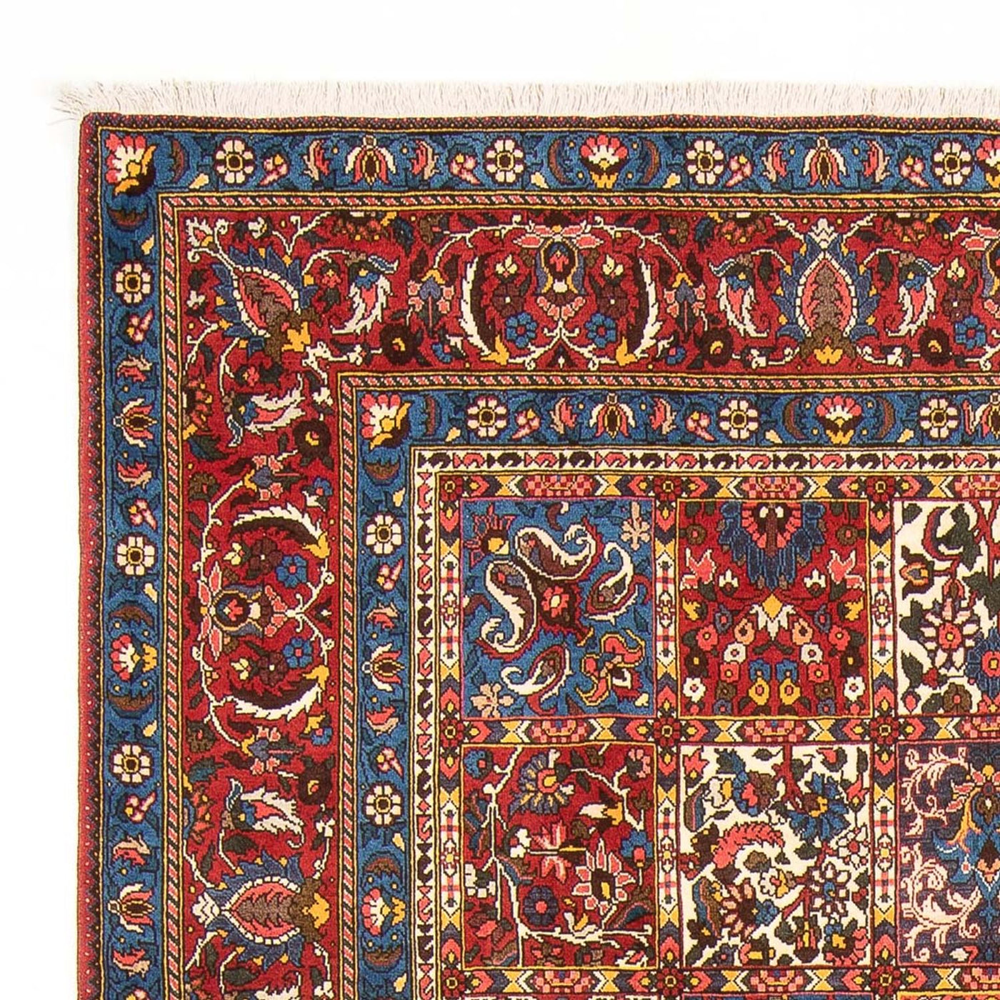 Tapis Bakhtiari Tapis 315x202cm - Tapis persan