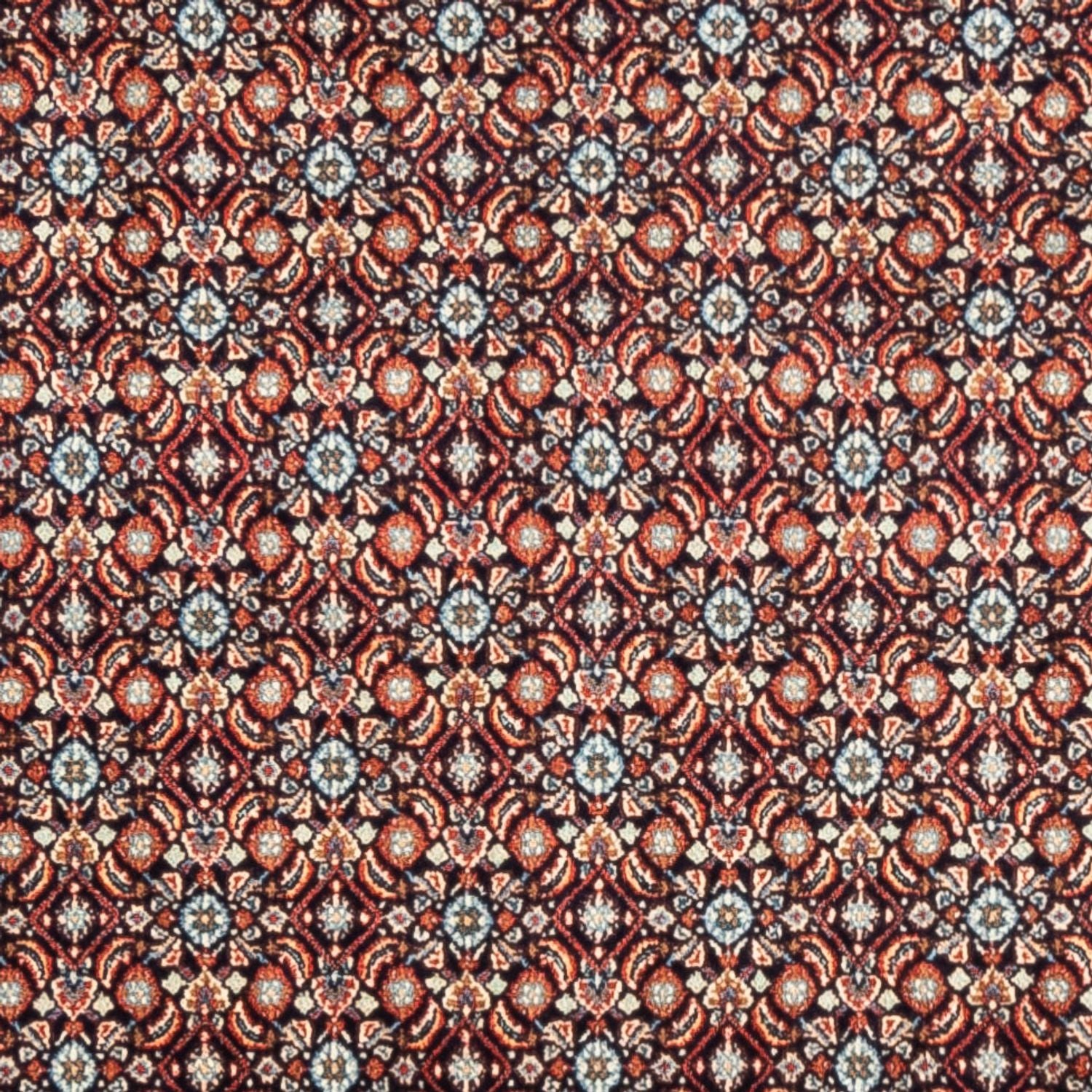 Tapis persan - Classique - 244 x 197 cm - beige foncé