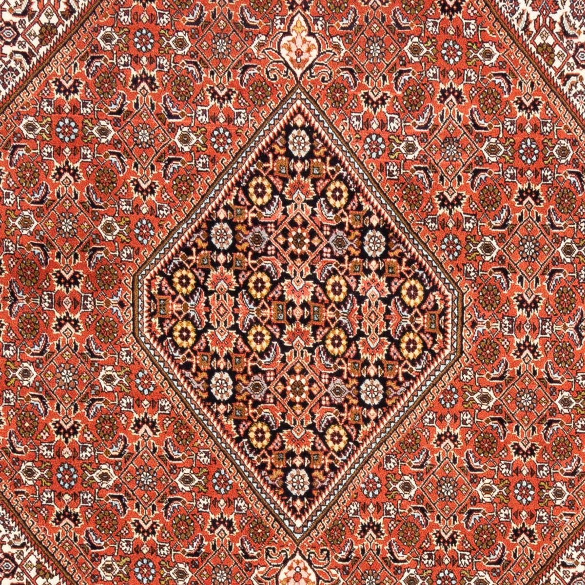 Tapis persan - Bidjar - 250 x 172 cm - rouge