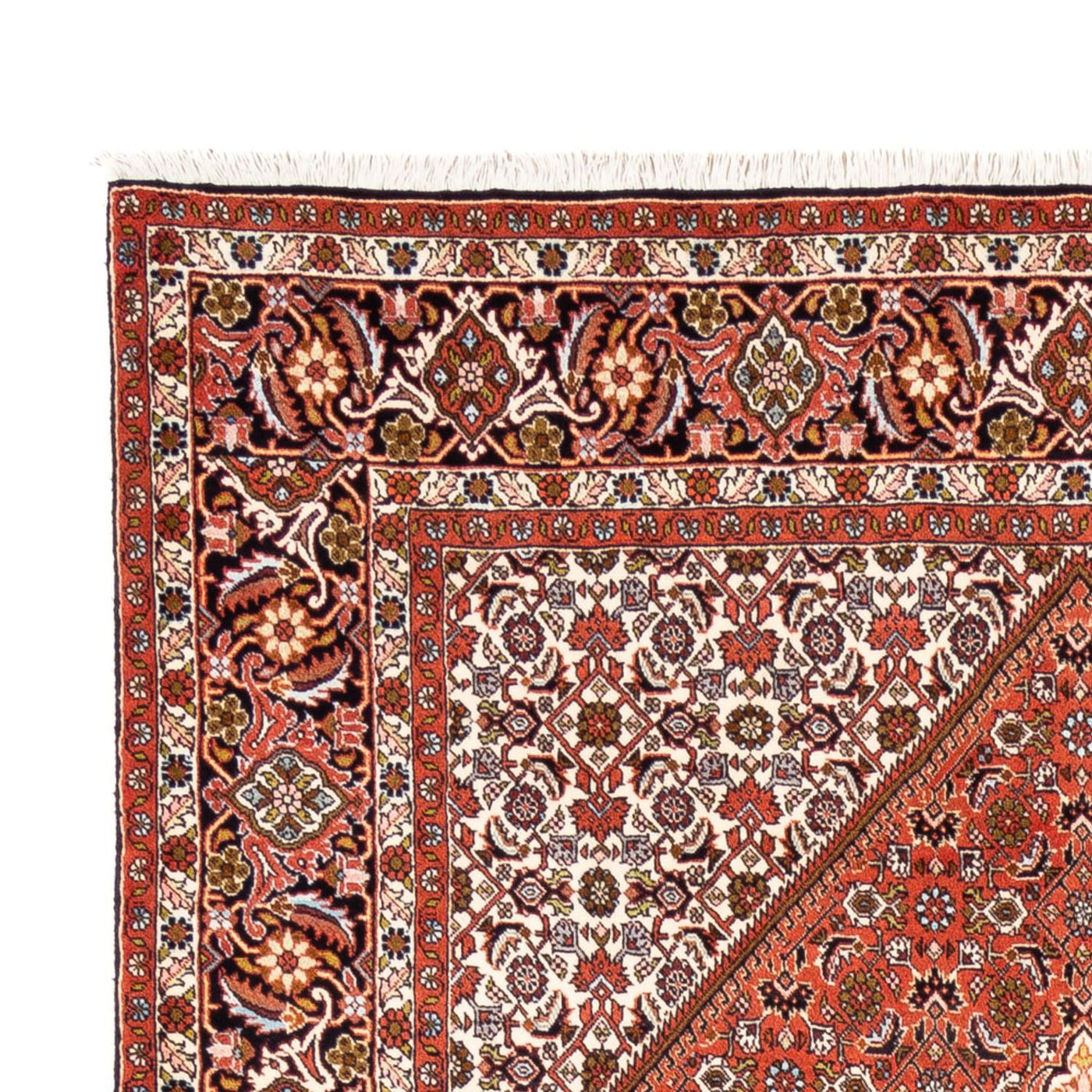 Tapis de Bidjar Tapis 250x172cm - Tapis persan