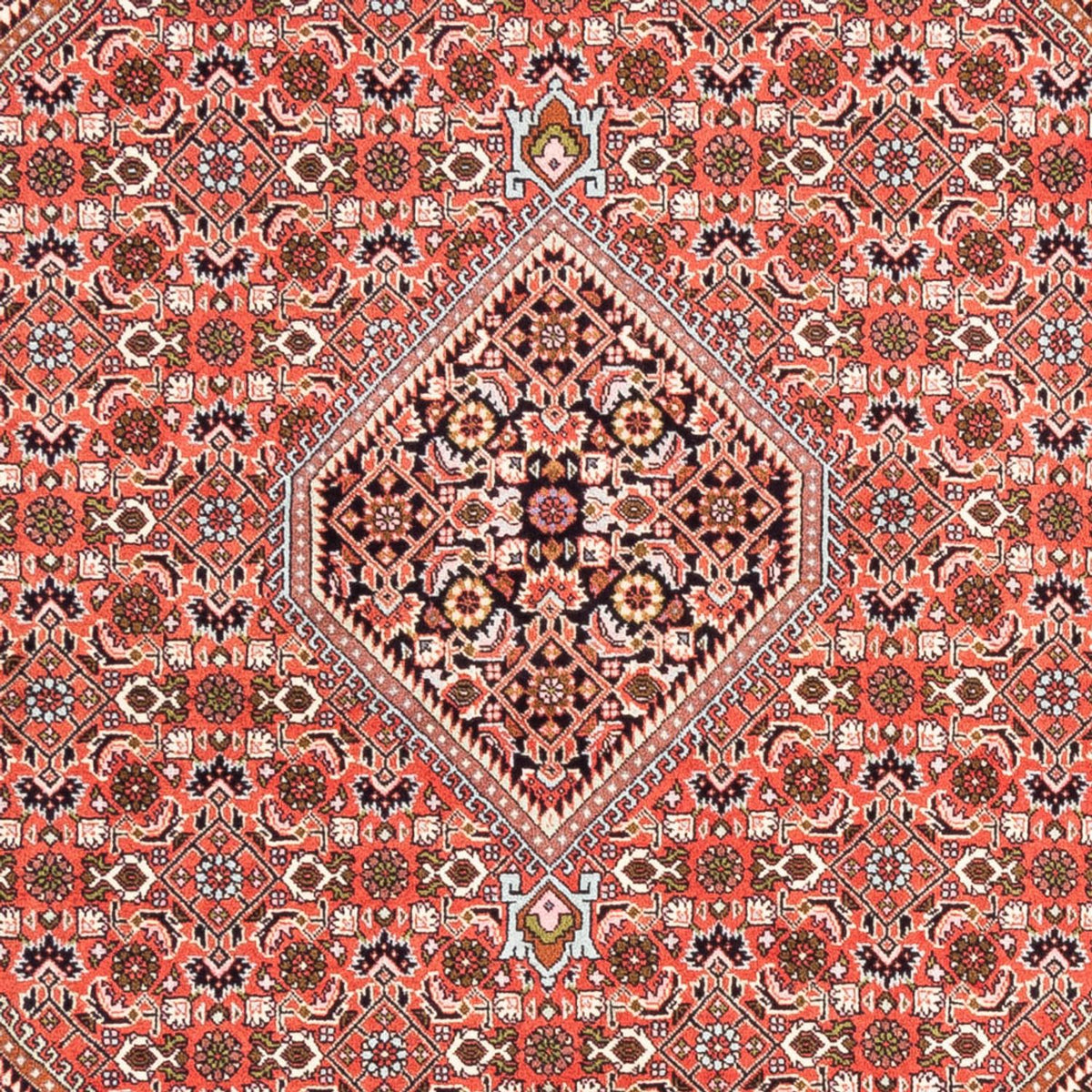Tapis persan - Bidjar - 235 x 168 cm - rouge