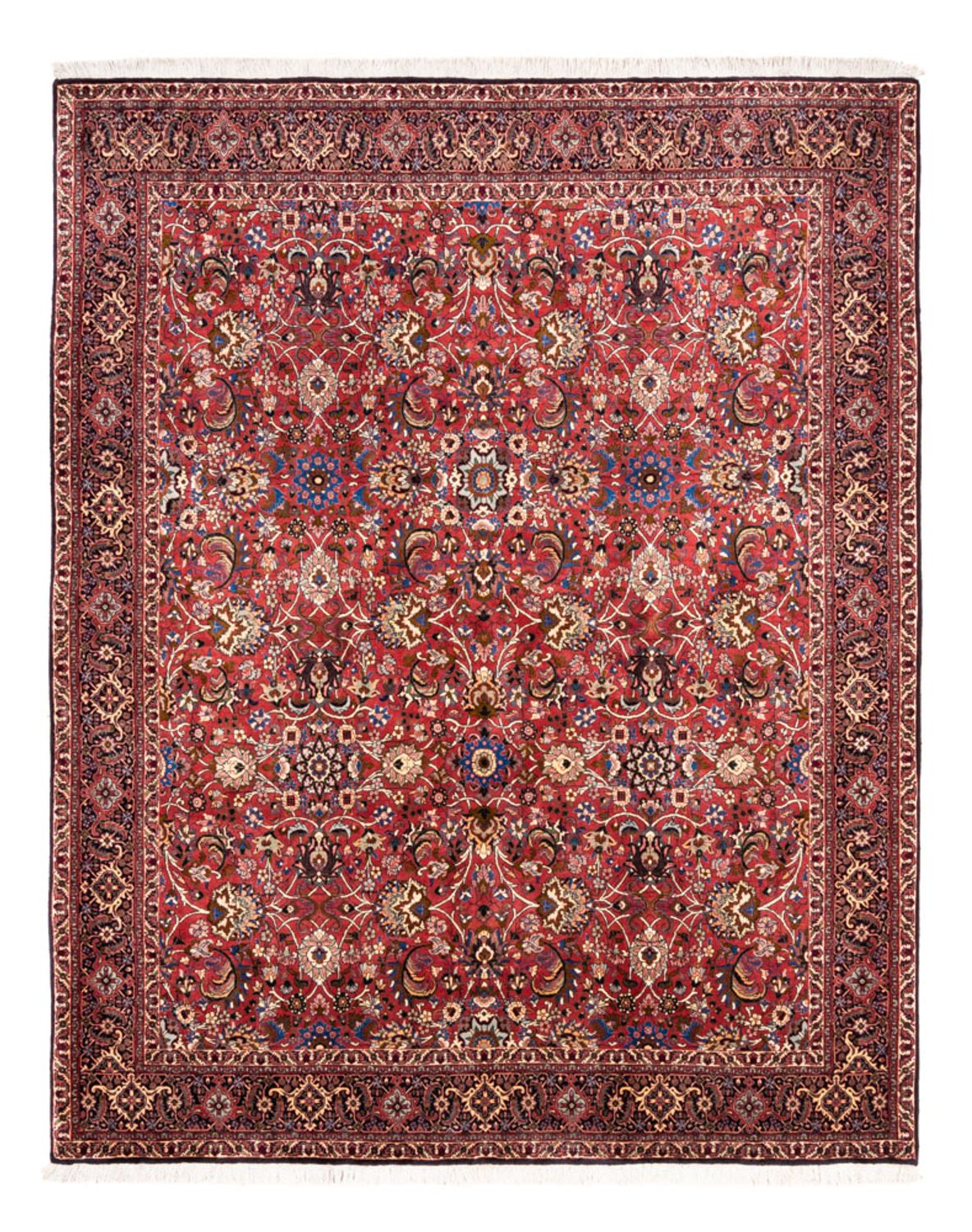 Tapis persan - Bidjar - 246 x 197 cm - rouge bordeaux