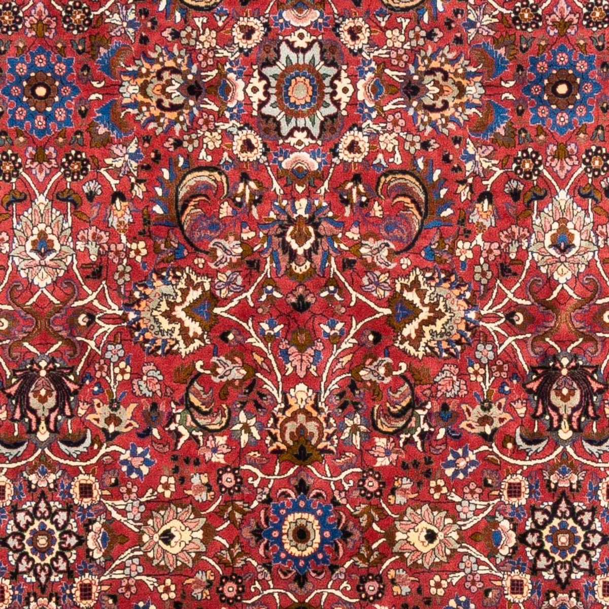 Tapis persan - Bidjar - 246 x 197 cm - rouge bordeaux