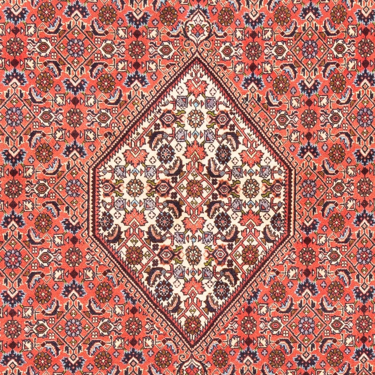 Tapis persan - Bidjar - 242 x 170 cm - rouge