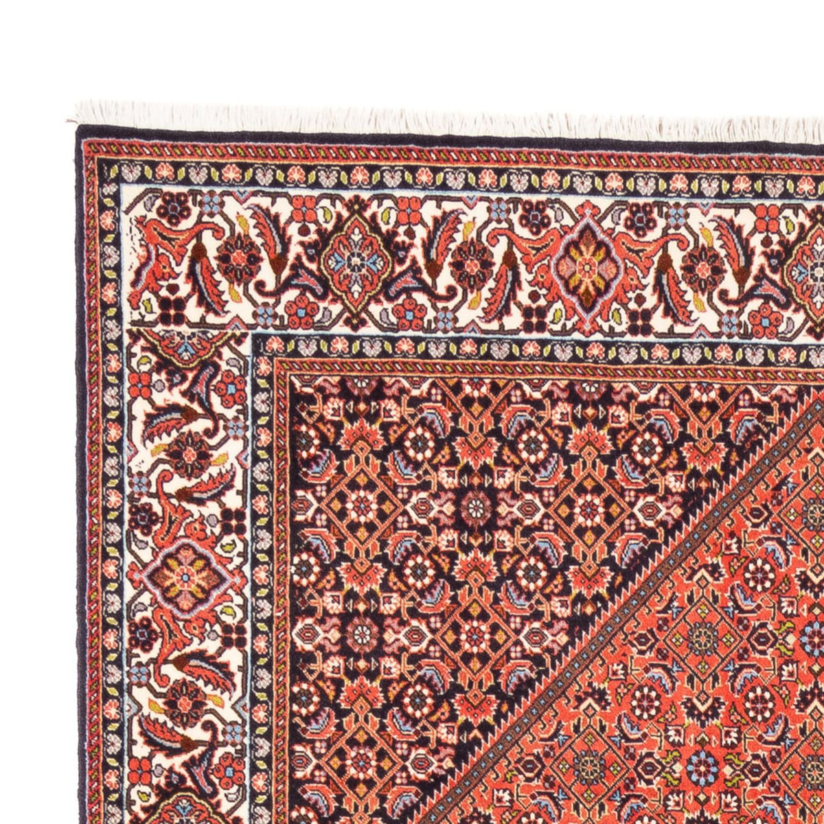 Tapis persan - Bidjar - 240 x 173 cm - rouge