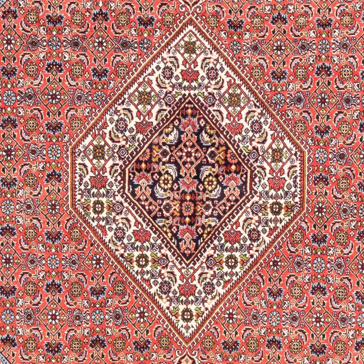 Tapis persan - Bidjar - 243 x 170 cm - rouge
