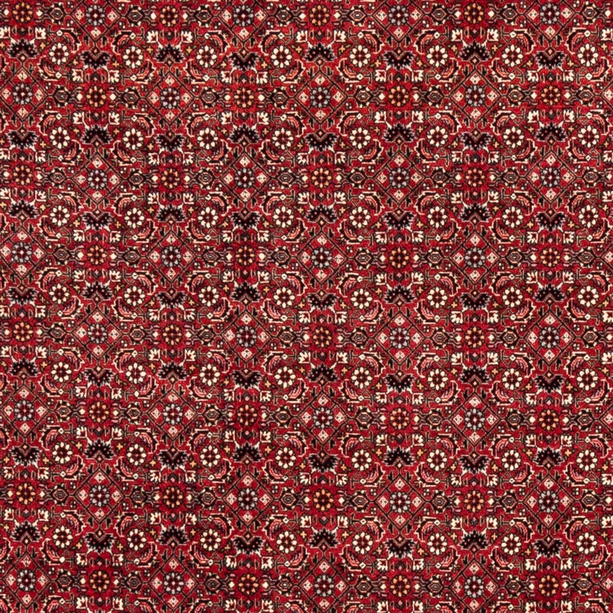 Tapis persan - Bidjar - 238 x 178 cm - rouge