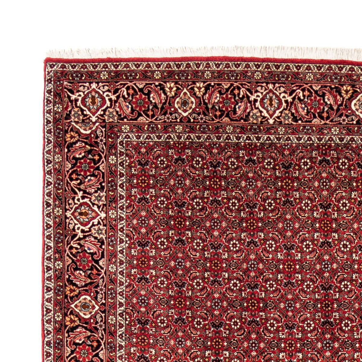 Tapis persan - Bidjar - 238 x 178 cm - rouge