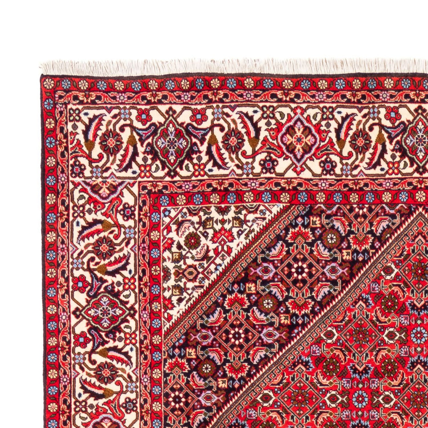 Tapis de Bidjar Tapis 253x170cm - Tapis persan
