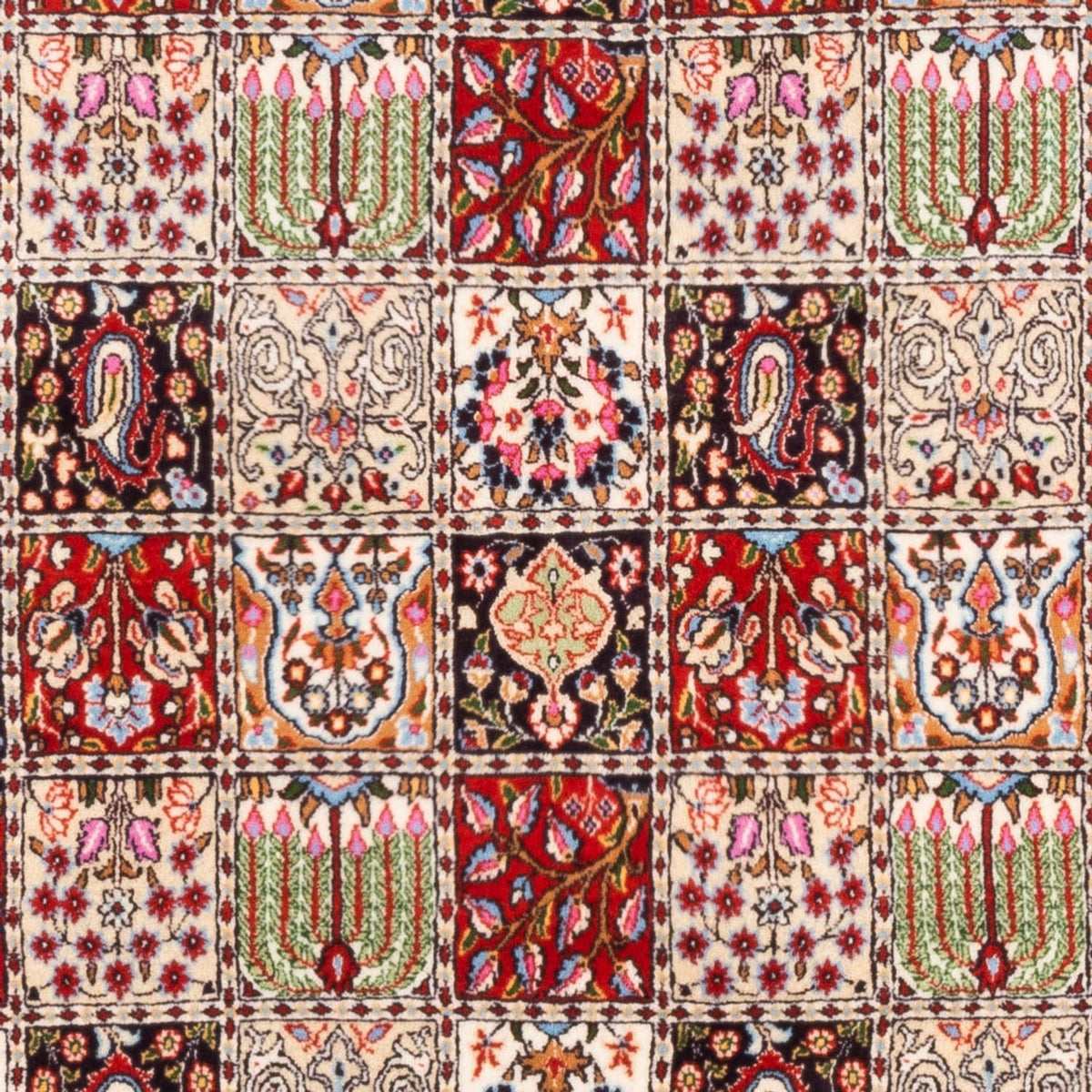 Tapis persan - Classique - 244 x 165 cm - multicolore