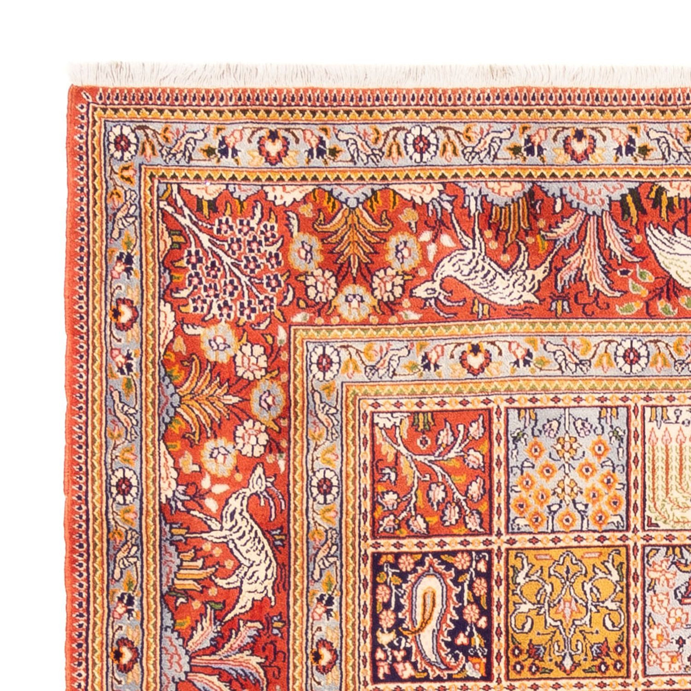 Tapis de Moud Tapis 244x198cm - Tapis persan