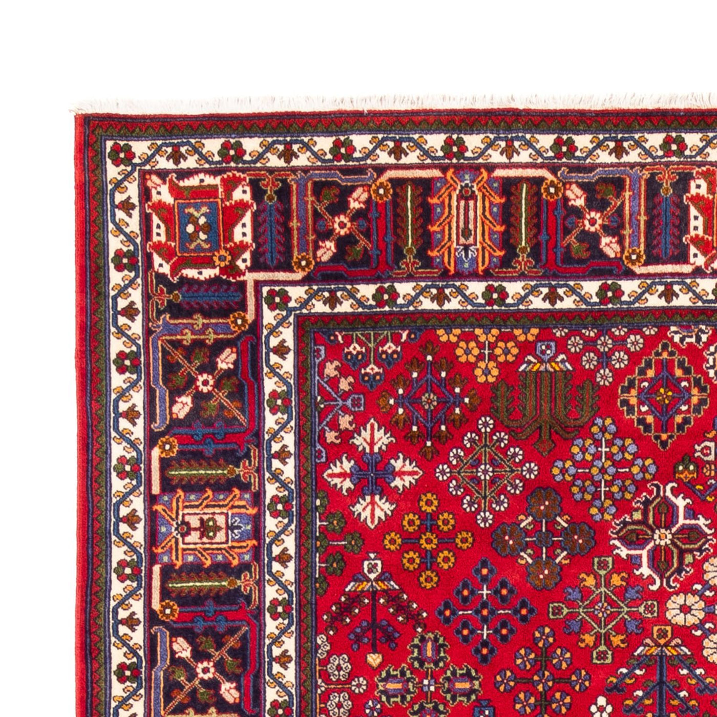 Tapis de Sarouk Tapis 258x168cm - Tapis persan
