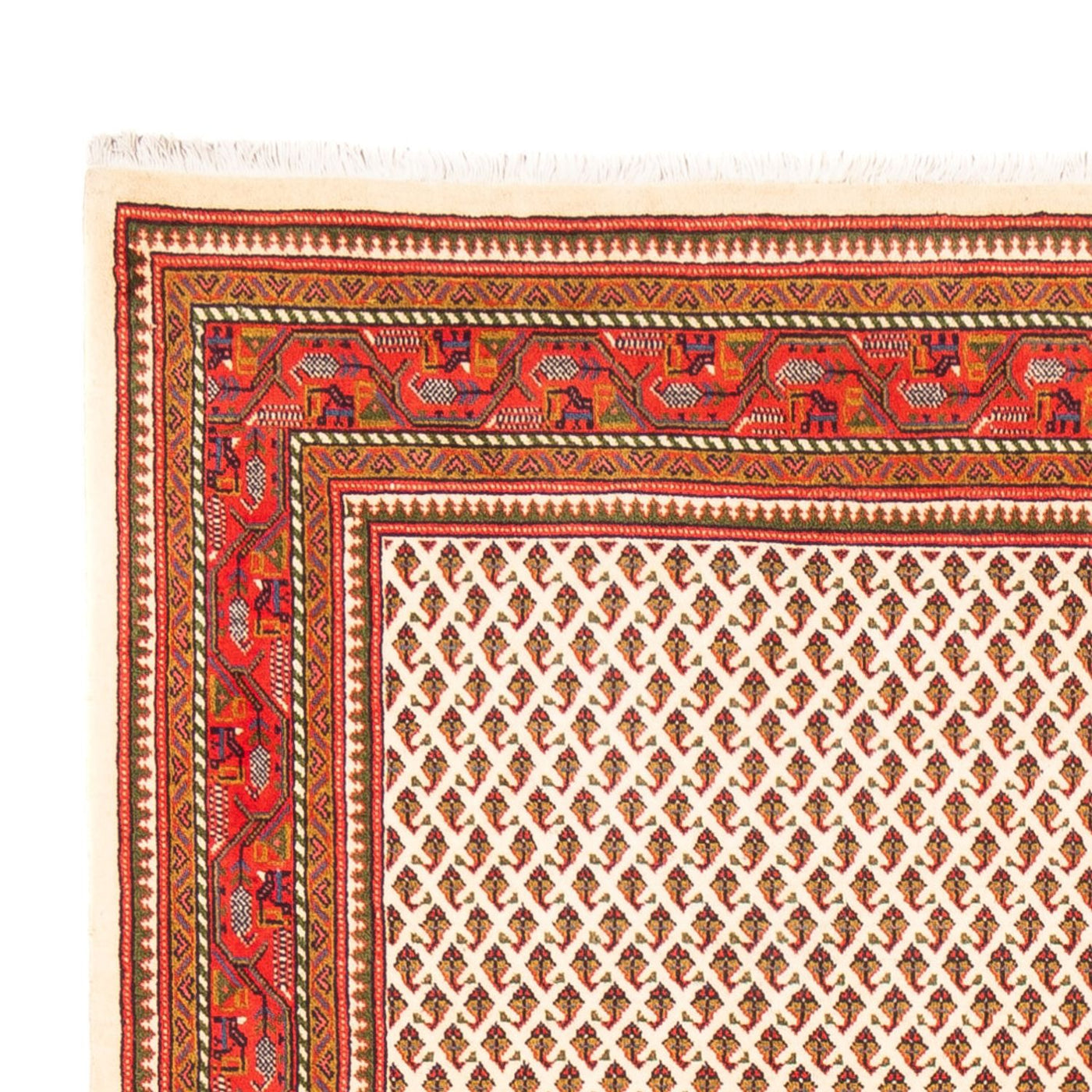 Tapis de Mir Tapis 260x168cm - Tapis persan