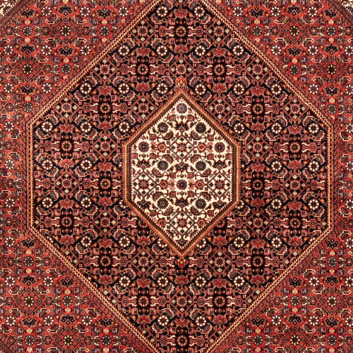 Tapis persan - Bidjar - 235 x 170 cm - rouge