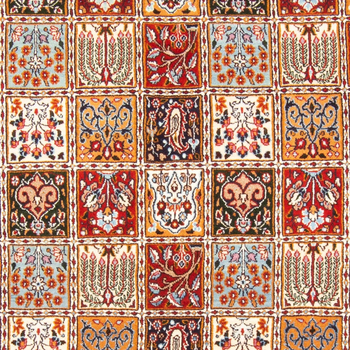 Tapis persan - Classique - 228 x 167 cm - multicolore