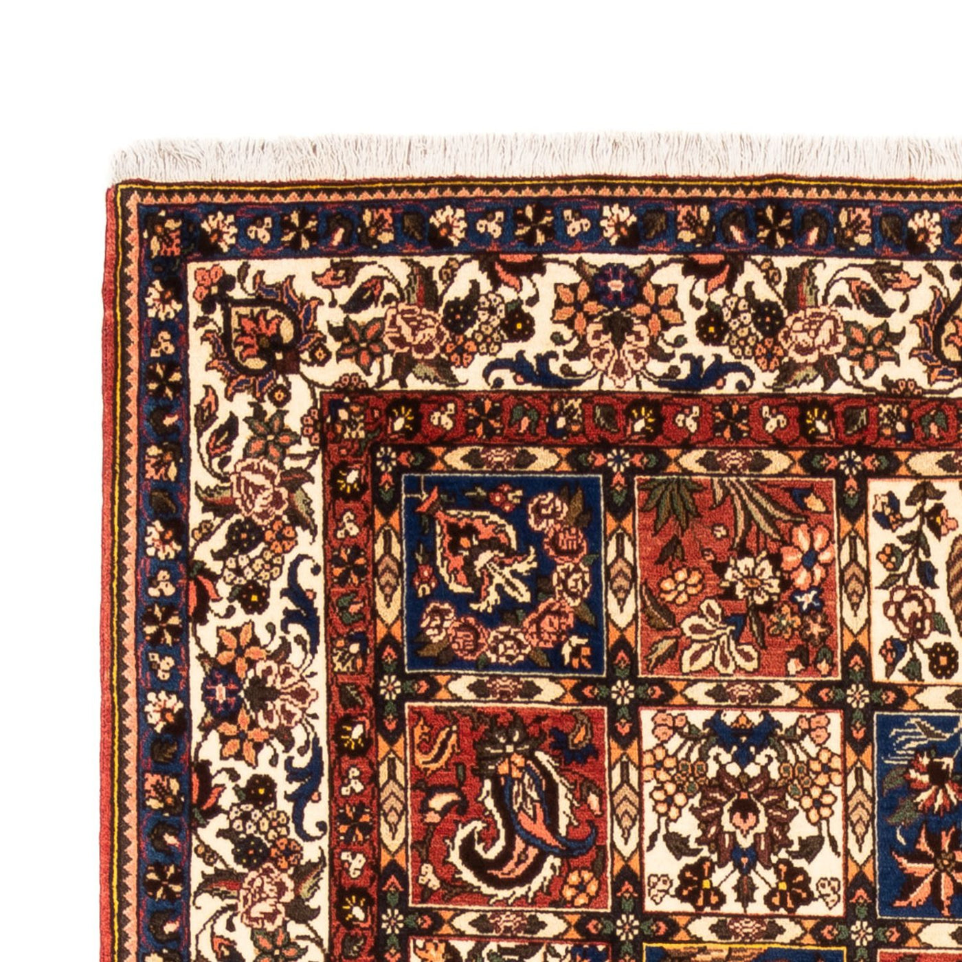 Tapis Bakhtiari Tapis 240x158cm - Tapis persan