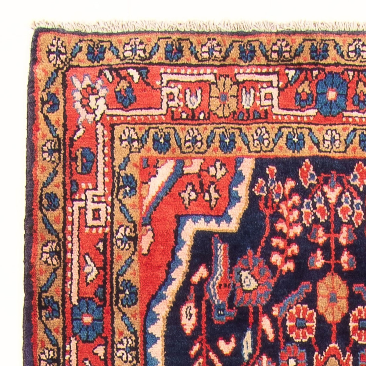 Kolyai Tapis 111x313cm - Tapis persan